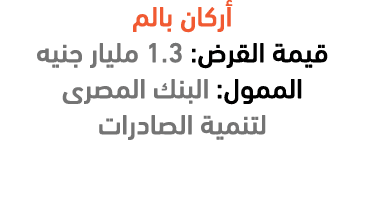 أركان بالم قيمة القرض: 1.3 مليار جنيه الممول: البنك المصرى لتنمية الصادرات