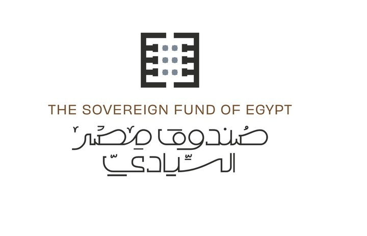 التجارة الداخلية وصندوق مصر السيادي