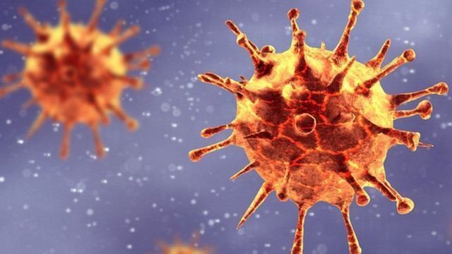 حقيقة رصد سلالات جديدة من فيروس كورونا المتحور داخل مصر