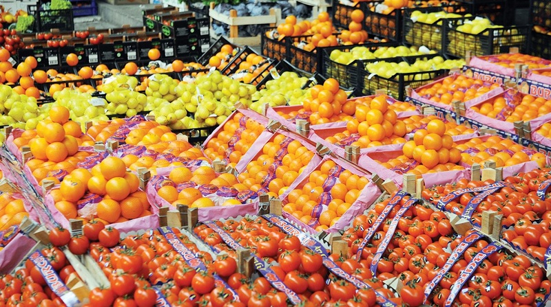 صادرات مصر الزراعية تصل إلى 3.5 مليون طن منذ بداية العام