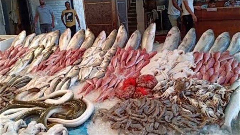 ارتفاع أسعار الأسماك في شم النسيم